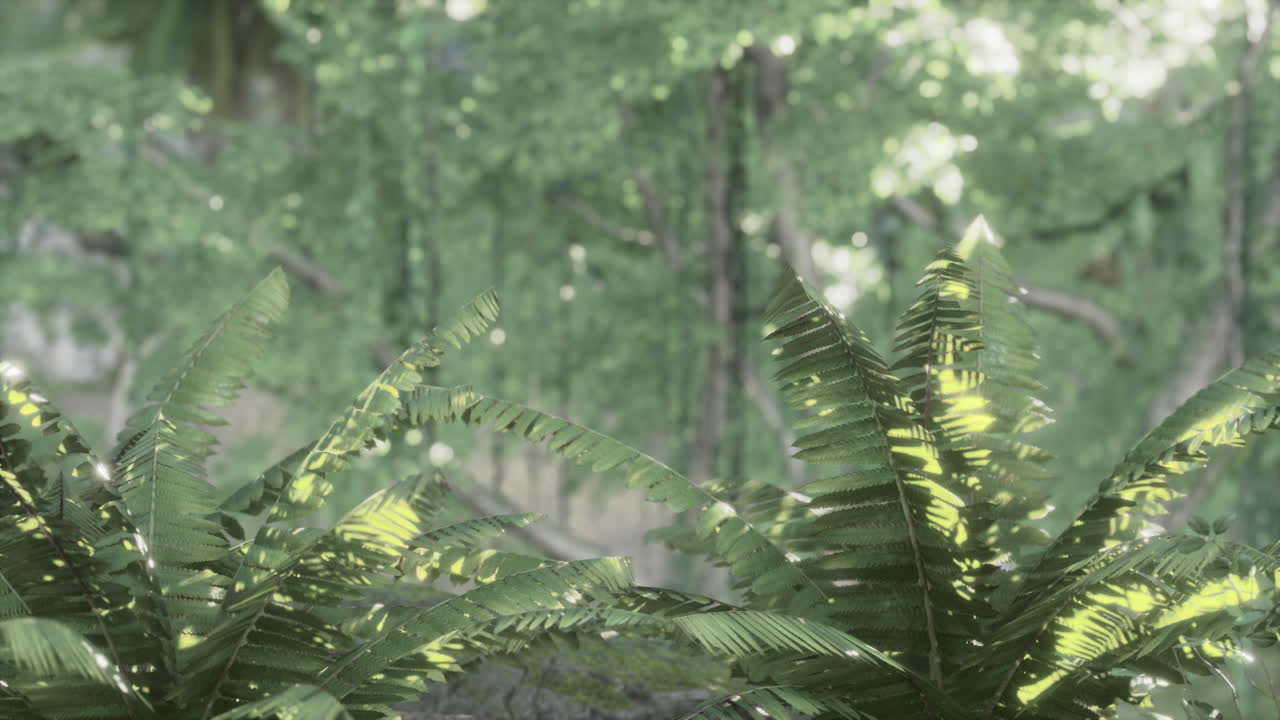 8 월 에 동남아시아 의 열대 정글