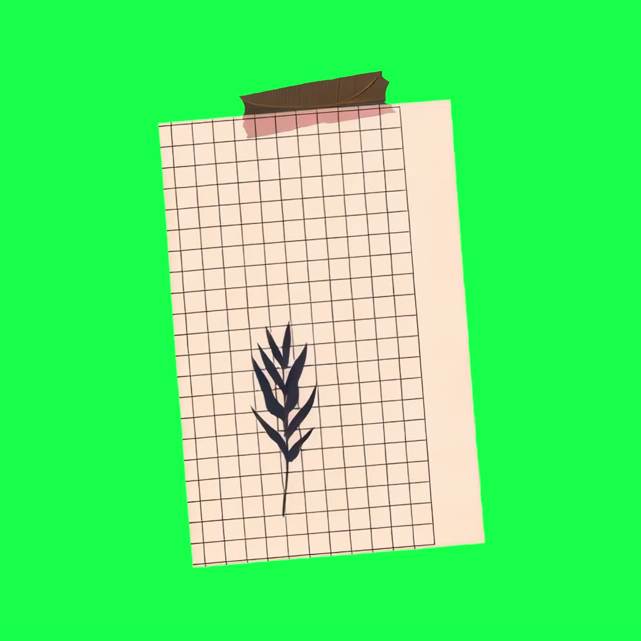 Animazione di design a griglia botanica minimalista, video 4K trasparente, green screen