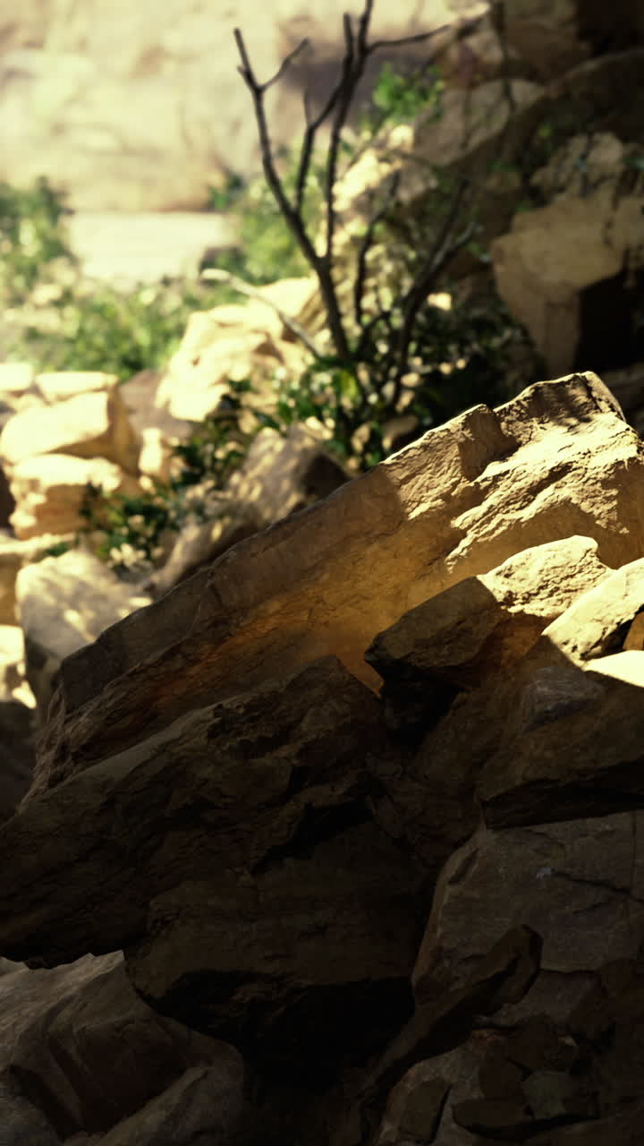 Natural light illuminates rocky terrain on a sunny day in a canyon