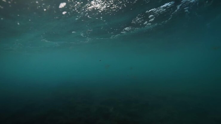 Vista subacquea di un'onda oceanica