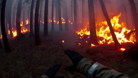 forest firefighters at work