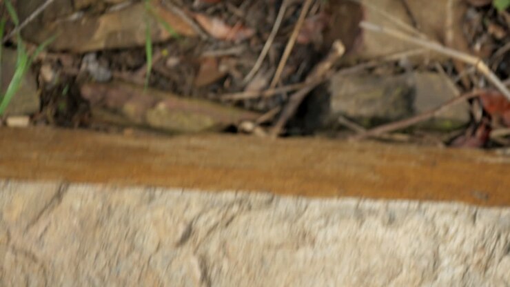 CLOSE UP, stepping across a natural rock pathway in a national park