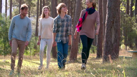 familia feliz con hijos adolescentes caminando por el campo