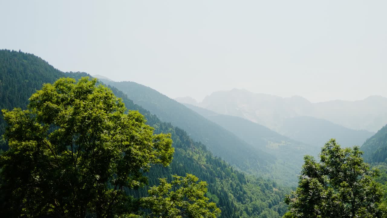 Lush green trees frame misty forested mountains under a hazy sky in a peaceful valley view