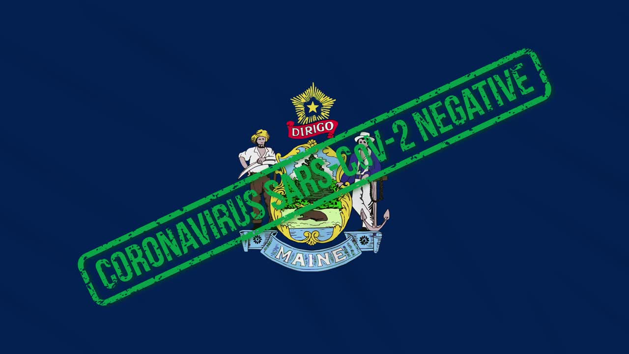 미국 메인 주 (maine) 의 발은 코로나바이러스로부터의 자유의 초록색 스프로 흔들리고 있습니다.