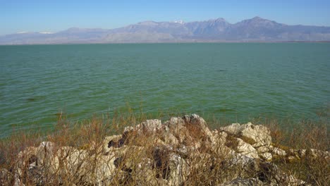 vibrant water of lake seen from rocks and dry bushes of coast with high mountains background on a sunny winter day