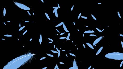 light blue feathers soaring particles motion graphics