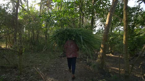 following a woman carrying bundle of plants.