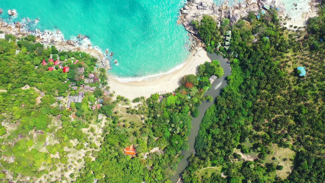 정글을 흐르는 강