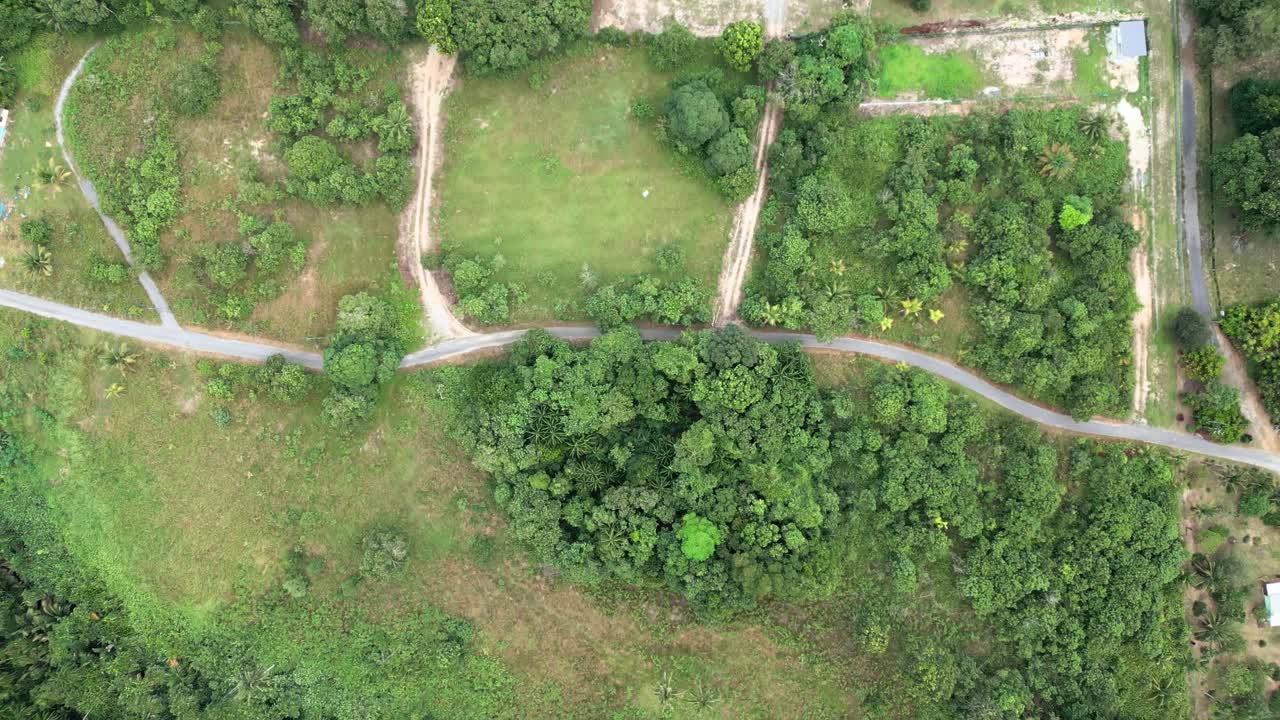 vista aérea del pueblo de pueh, con el campo de arroz y la montaña de fondo, sarawak, borneo,