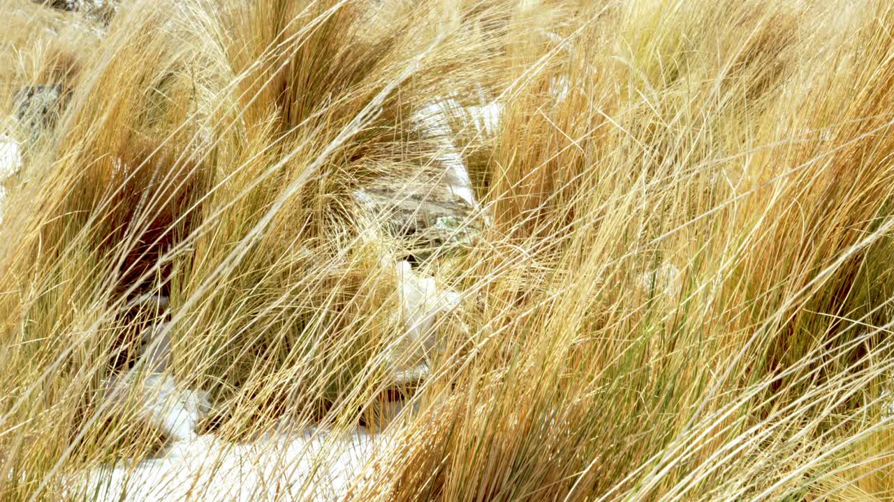 메를로 산 루이스의 눈 덮인 산의 전망