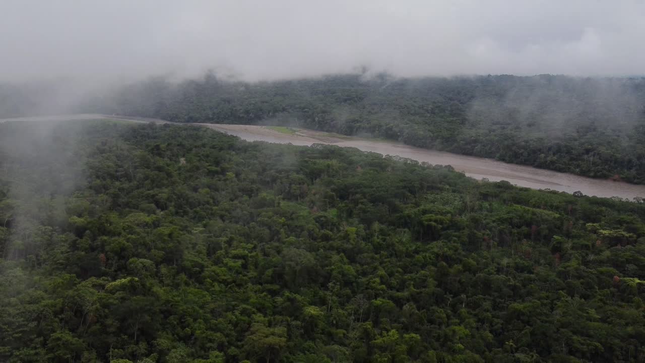 selva tropical bajo las nubes vista de drones