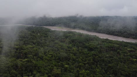 rainforest under the clouds drone view