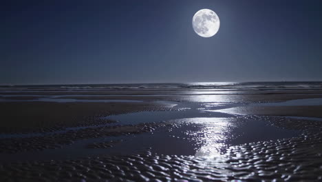 moonlight beach scene