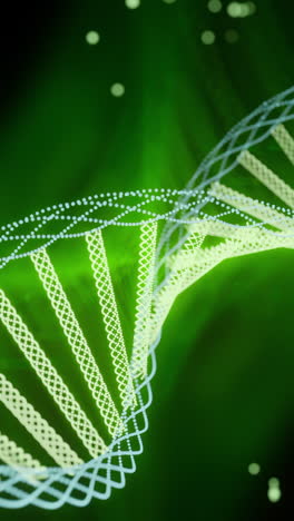 3d rendering of dna double helix