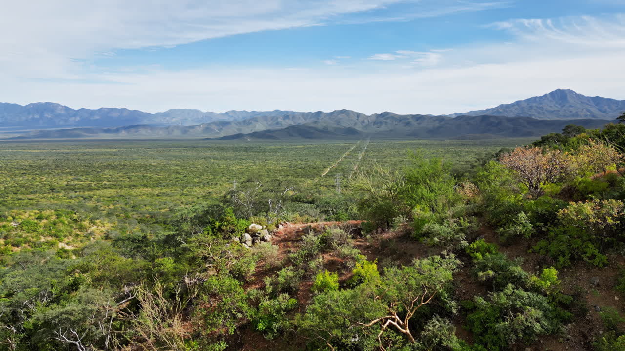 Aerial drone view of an endless green valley stretching toward rugged mountains under a bright blue sky in the Mexican wilderness in slow motion