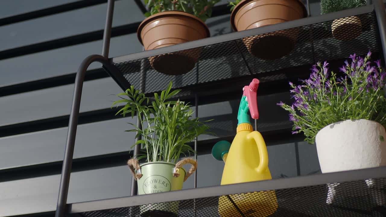 Plant Shelves with Watering Can