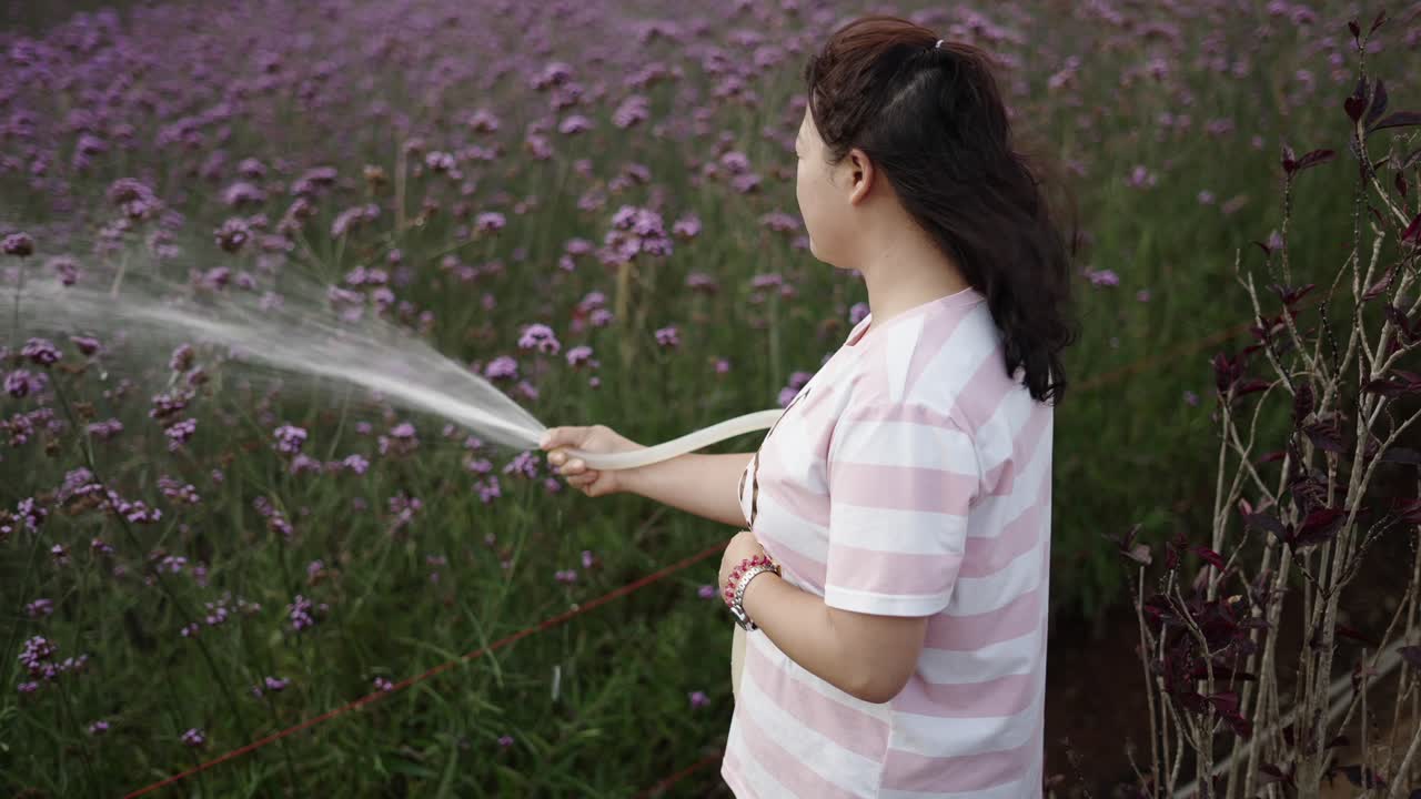 Woman Watering Purple Flowers in a Field