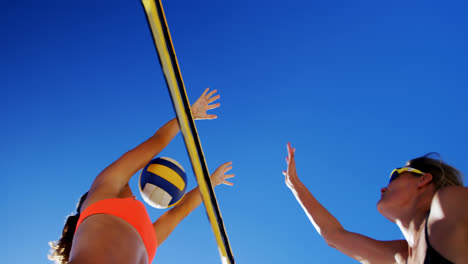 female volleyball players playing volleyball 4k