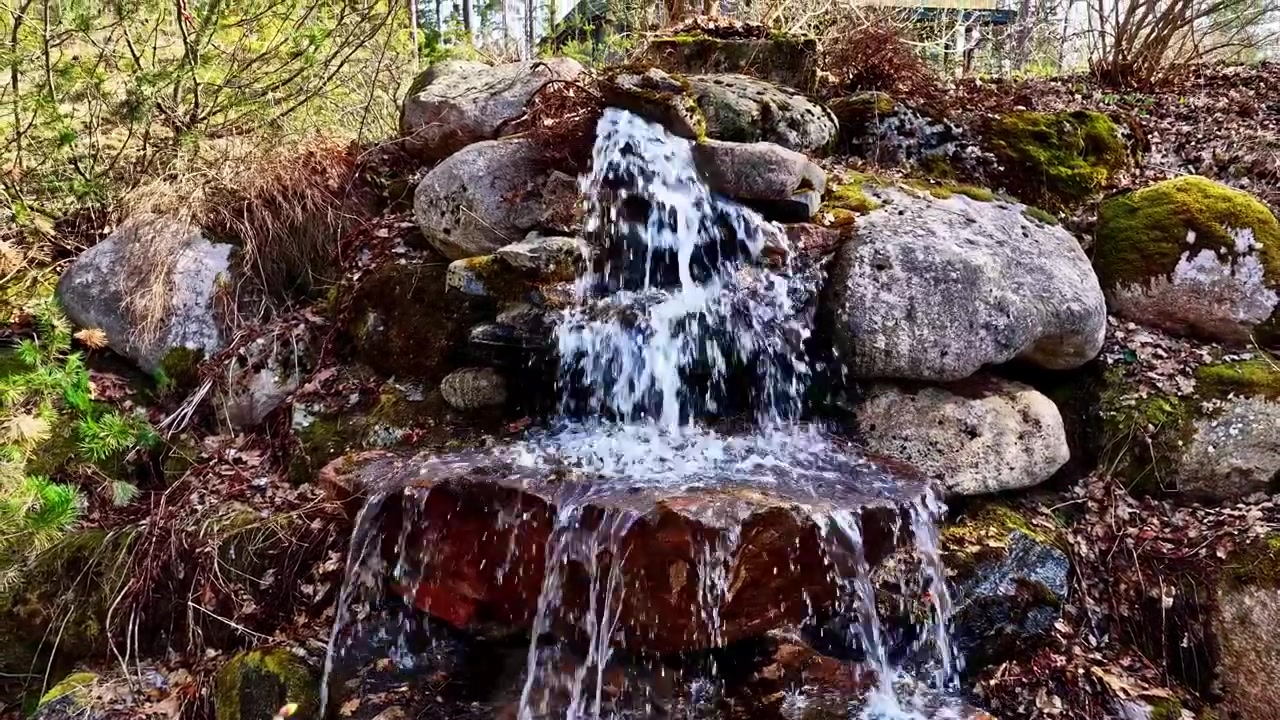 Small rock waterfall flowing through a landscaped garden, with mossy stones, woodland plants, and a tranquil backyard nature setting.