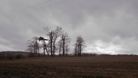 Cultivo-De-Tierras-De-Cultivo-Con-árboles-Altos-Detrás-En-Invierno-En-Un-Día-Nublado,-Tiro-Fijo-Clasificado