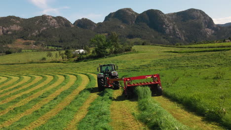 Vista-Trasera-De-Una-Cosechadora-De-Forraje-Cortando-Pasto-Para-Ensilaje-En-Una-Granja-En-Noruega