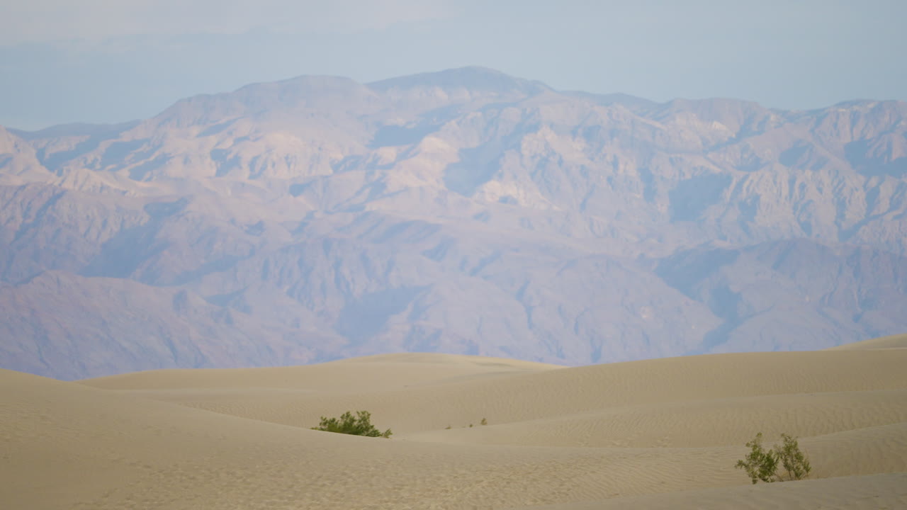 Vast Sand Dunes with Distant Mountains