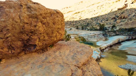 a river in the middle of the sahara desert algeria biskra