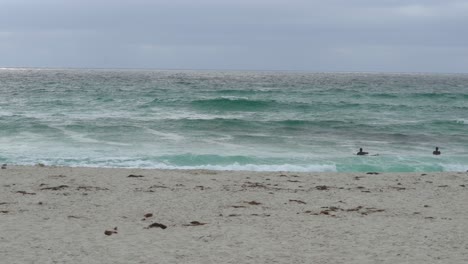 Two-surfers-in-wet-suits-paddling-out-to-sea-on-surf-boards-with-large-swells-coming-at-them