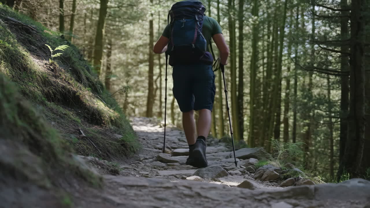 Hiker walking on a forest trail with trekking poles