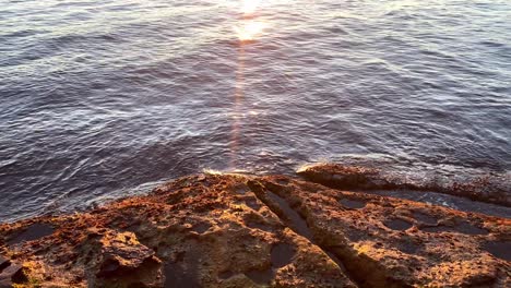 blick auf den sonnenaufgang auf den felsen am wasser des botanischen gartens in new south wales, australien – aufnahme aus niedrigem winkel