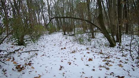 pov from the front of an off road vehicle or atv while driving through the woods on a snow covered path up and down hills on a cloudy afternoon in early winter