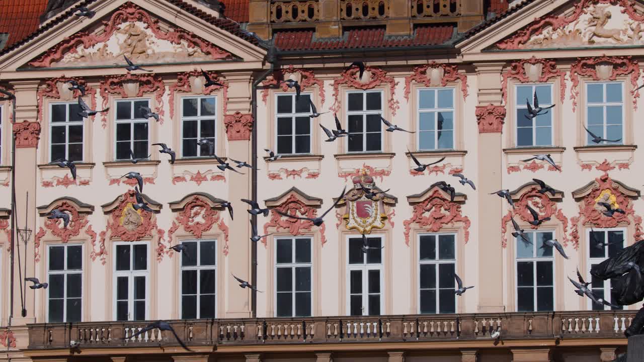 Pigeons take flight before ornate historic buildings, bright daylight, smooth lateral camera pan