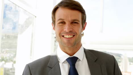 smiling businessman looking at camera