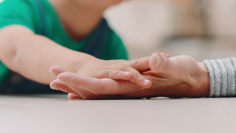 Familia,-Seguro-De-Vida-Y-Tomados-De-La-Mano.