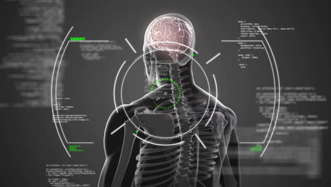 animación del cerebro humano y procesamiento de datos científicos.