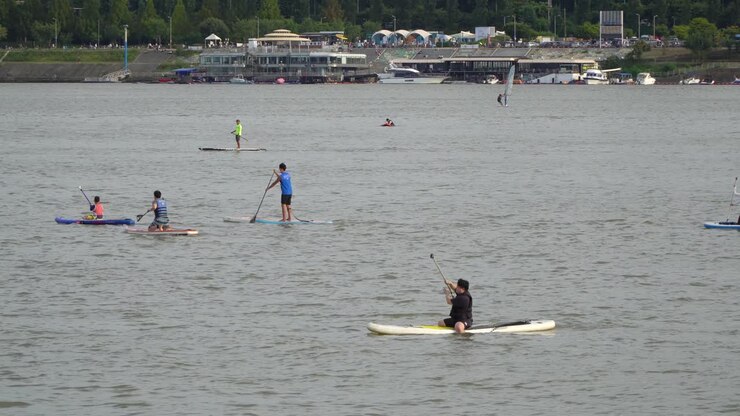 People On Vacation At Han River Paddle Boarding In Seoul, South Korea