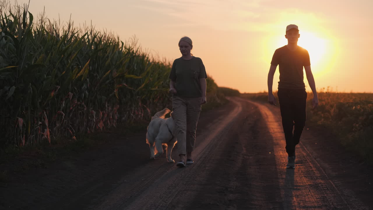 una pareja y un perro caminando por un camino de campo al atardecer