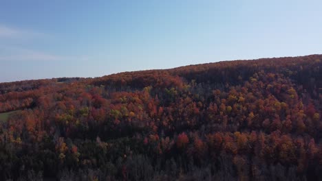 Rising-Aerial-Shot-Of-Peak-Fall-Colours-In-Caledon,-Ontario