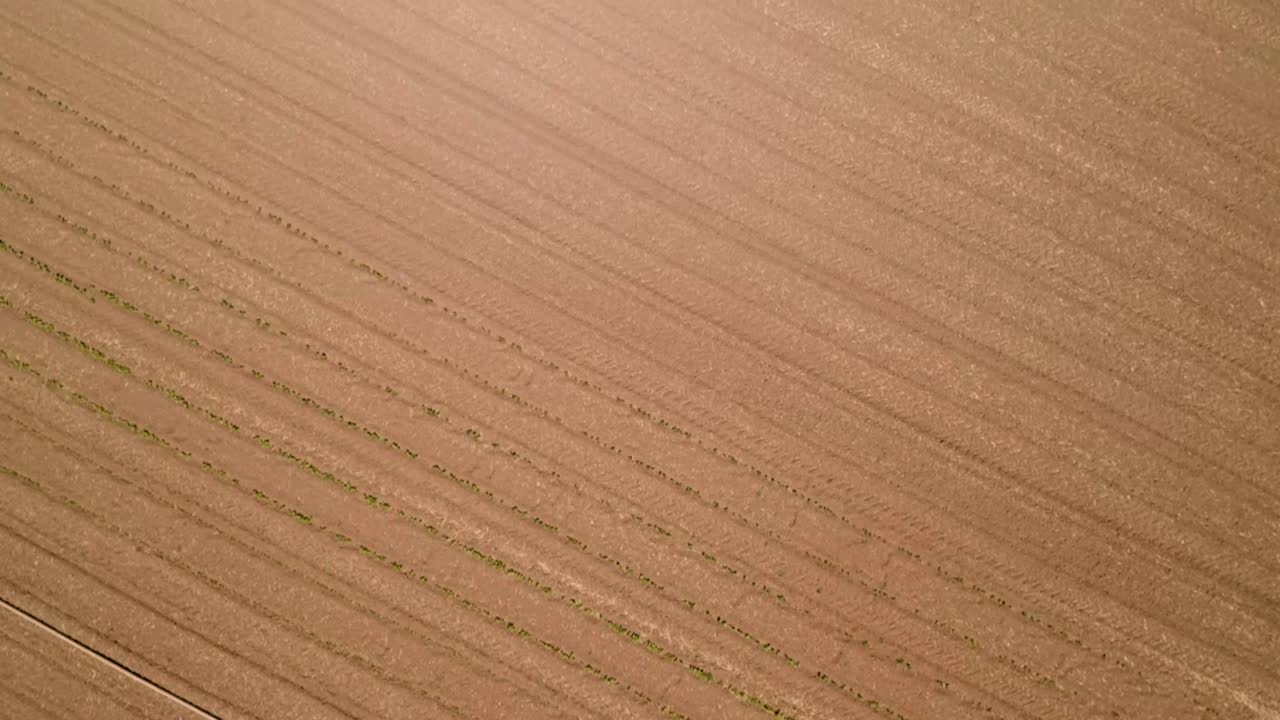 vista aérea de vastos campos rurales en el campo durante la temporada de cosecha