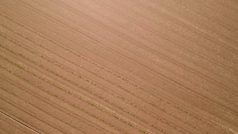 Vista-Aérea-De-Vastos-Campos-Rurales-En-El-Campo-Durante-La-Temporada-De-Cosecha