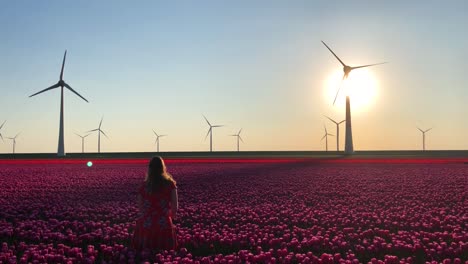 Chica-En-Campo-De-Tulipanes-Y-Aerogeneradores-Tirando-Flores-En-El-Aire,-Cámara-Lenta-1