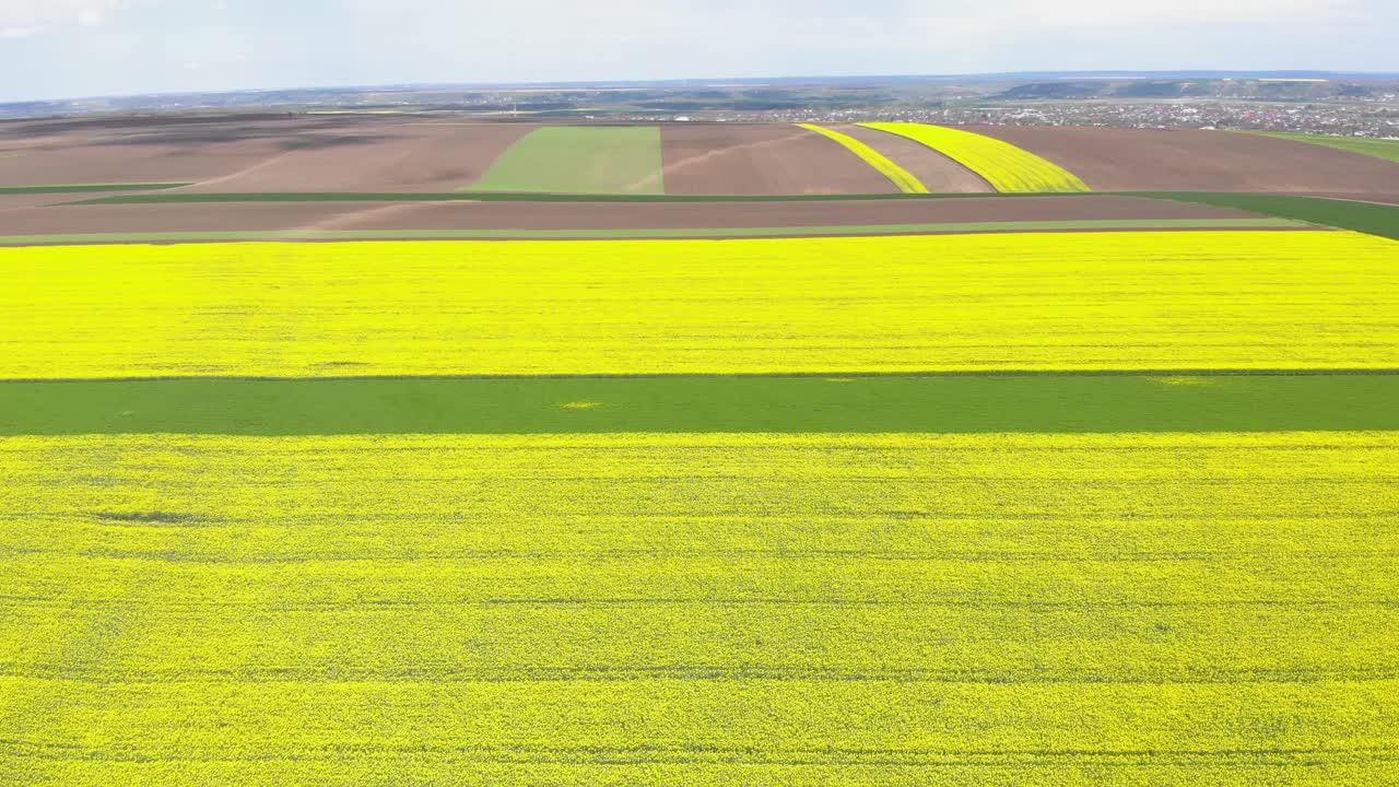 вид с воздуха на ярко-желтое поле рапса в дневное время - съемка с дрона