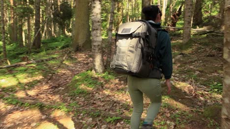 Hiking-woman-walk-with-a-hiking-backpack-in-spring-green-forest