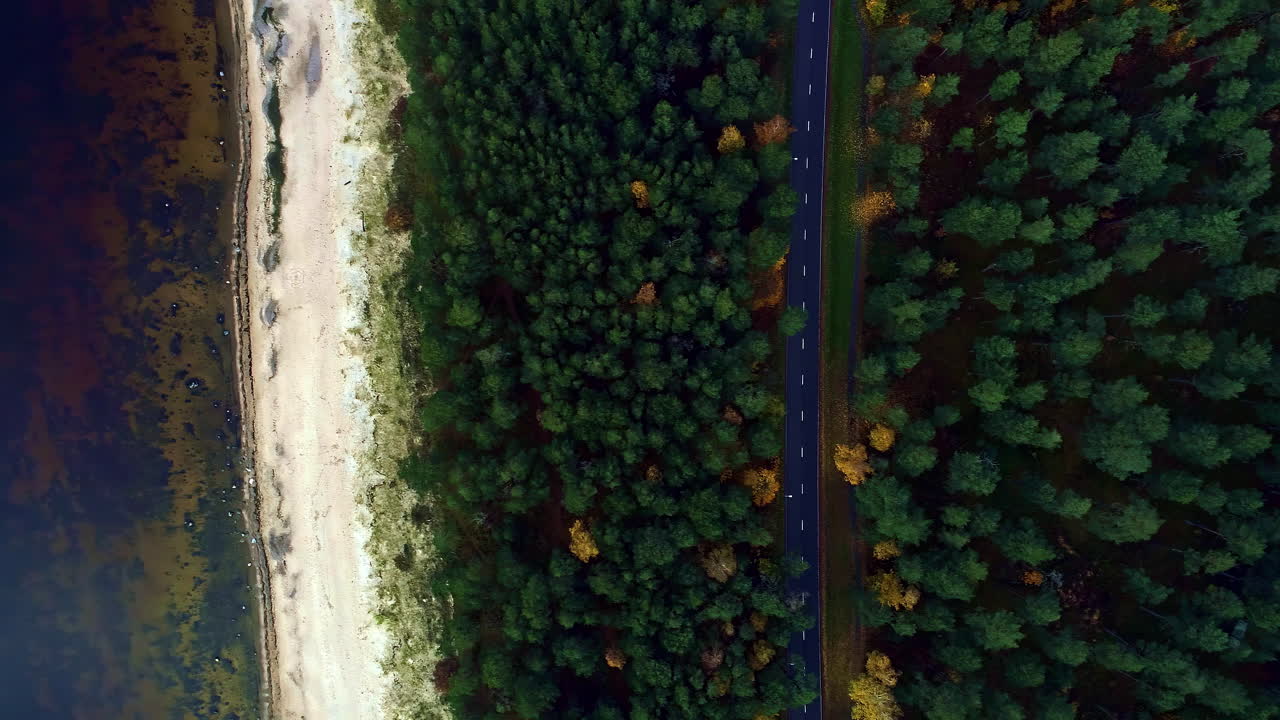 vista aérea de la carretera asfaltada y las copas de los árboles junto a la costa