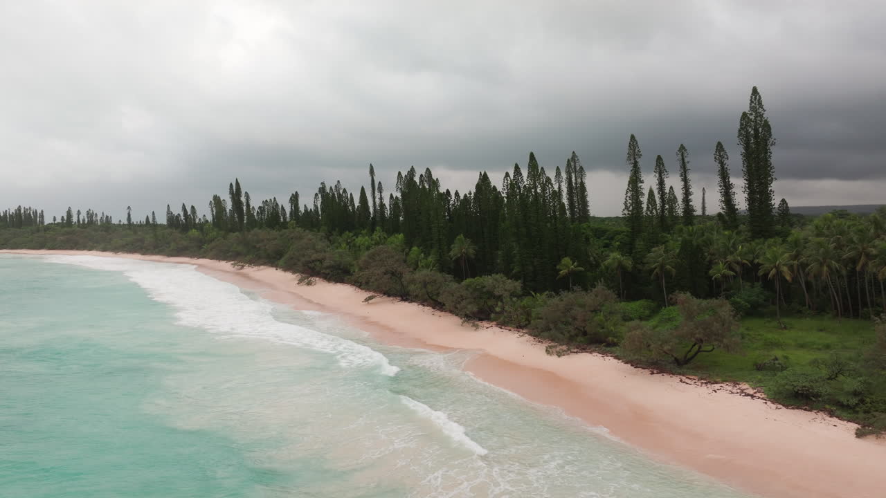 Drone view of a tropical beach lined with columnar pines and turquoise lagoon waters in New Caledonia