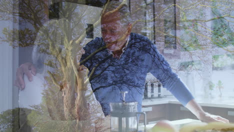 in kitchen, man with tree branches animation overlay, creating reflective effect