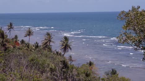 coconut trees and vegetation are facing the pacific ocean with waves during the day in a tropical aera