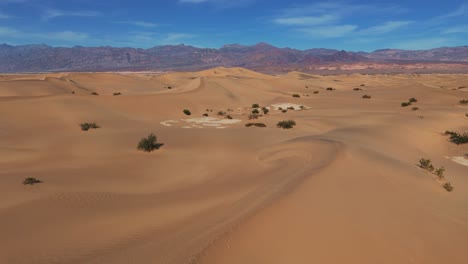 desert sand dune