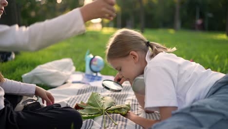 niños explorando la naturaleza en el parque